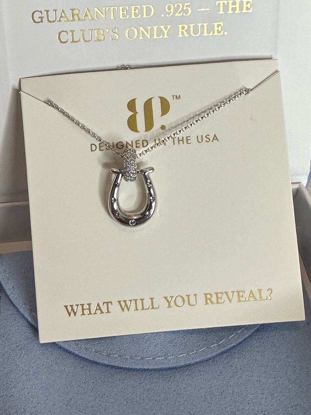 Sterling Horseshoe Pendant Necklace in Silver - Elegant Lucky Charm
